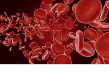 阿胶的功效与作用及食用方法