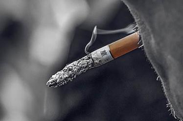 进口3段幼儿奶粉销量排行榜10强