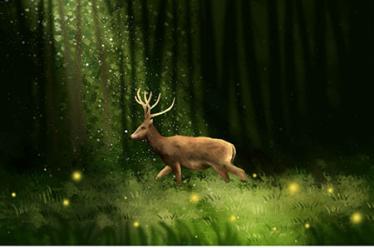 红枣怎么做给宝宝吃