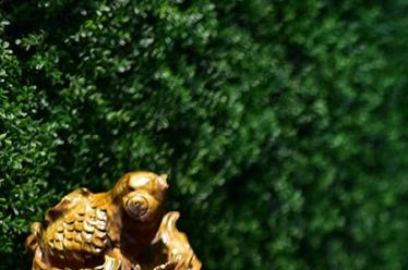 婴儿车品牌排行榜3