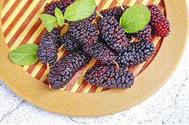 吃兔肉不能吃什么