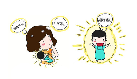 与智力发育有关的营养物质-核苷酸