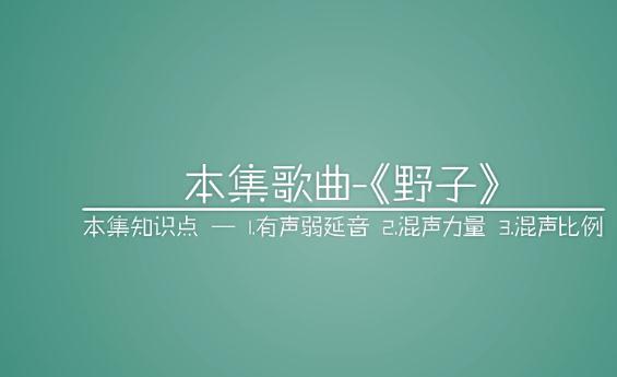 怎么唱好野子这首歌