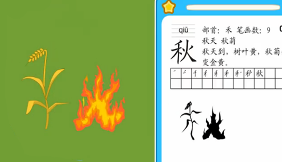秋菊