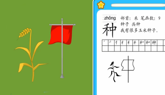 种子
