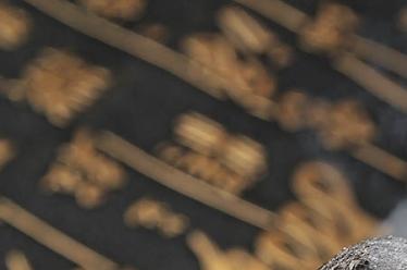 宫寒可以吃薏米吗