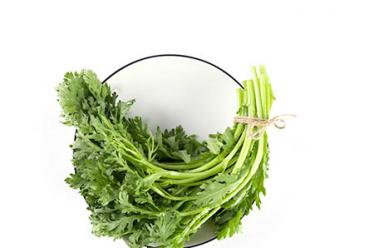 灵芝怎么吃降血压