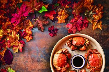 猪蹄不能和什么一起吃