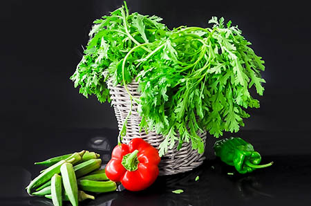 宝宝吃鹌鹑蛋有什么好处 食谱推荐