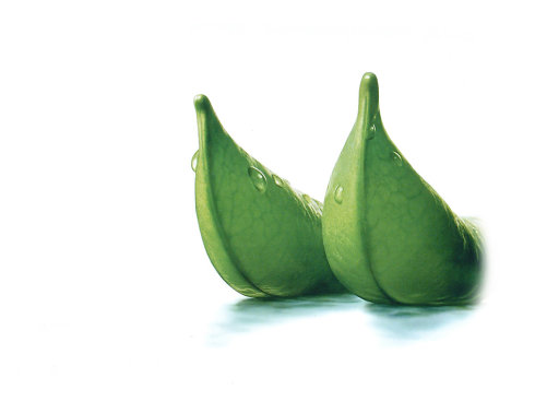 宝宝吃刀豆有什么好处 食谱推荐