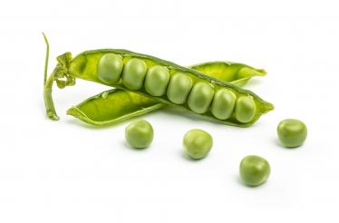 宝宝咳嗽可以吃豌豆吗1