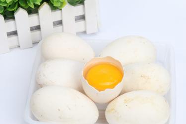 宝宝吃鹅蛋好还是鸡蛋好3