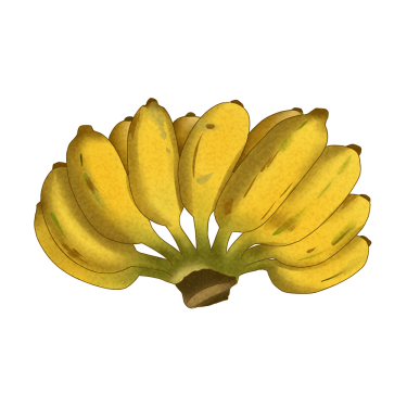 宝宝便秘可以吃芭蕉吗4