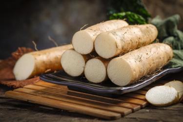 除湿气的食物有哪些5