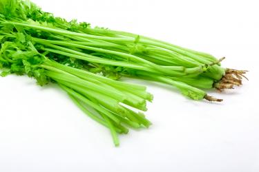 芹菜和鸡蛋一起吃的好处1