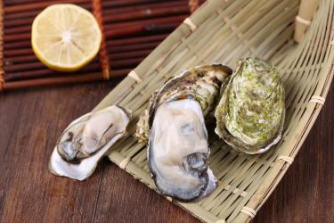 宝宝多大可以吃生蚝3