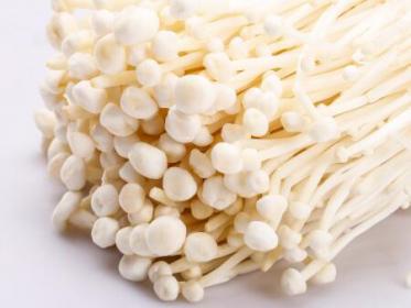 蘑菇有哪些食用功效 哺乳期吃这些蘑菇最好3