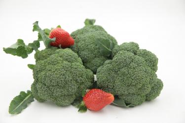感冒期间可以多吃什么食物1