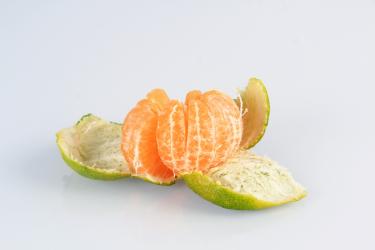 降糖可以吃哪些水果8