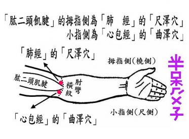 尺泽准确位置图和作用