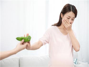 孕妇减肥食谱