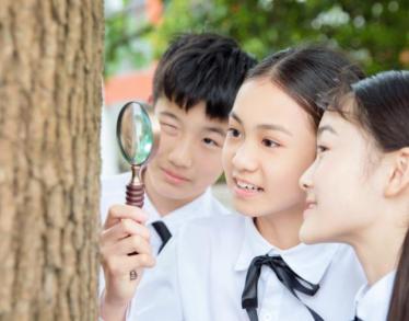 怎么提高孩子的观察能力