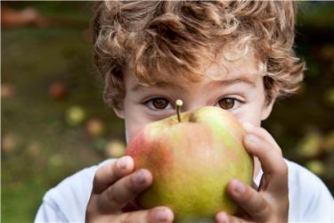 属牛的男宝宝取名小名