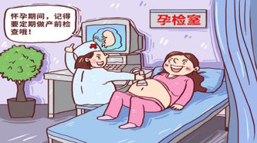 孕期检查有哪些项目