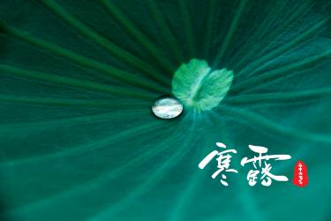 寒露发朋友圈的句子
