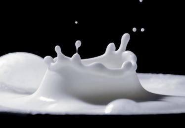 乳清蛋白质粉的功效与作用