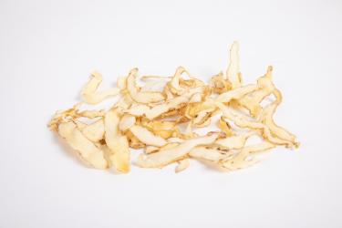 玉竹和什么搭配治咳嗽