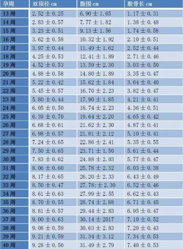 胎儿腹围是什么意思
