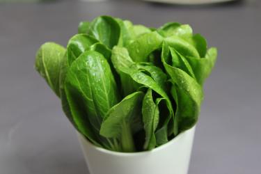 油菜怎么炒可以不苦