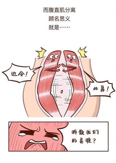 腹直肌分离怎么恢复训练 不练可能会被认为怀孕哦