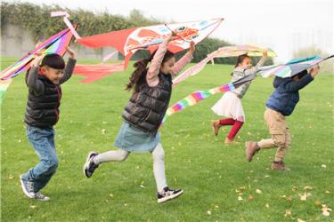 多彩的活动作文500字六年级