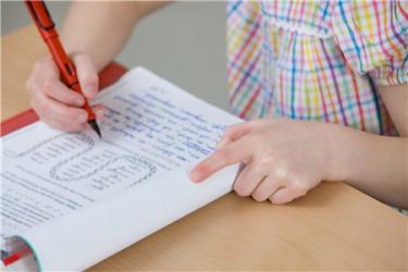 光棍节作文300字