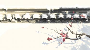 写小雪的作文300字左右