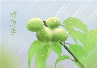 梅雨季节是哪几个月 小孩梅雨季节吃什么祛湿
