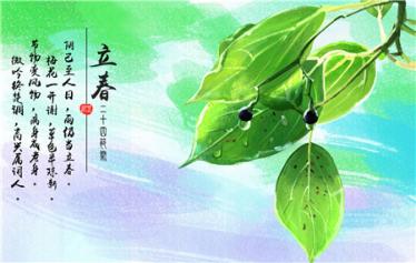 立春出生的兔宝宝好吗