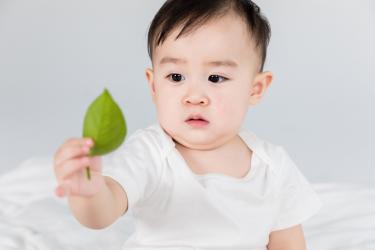 立秋当天出生的男孩起名