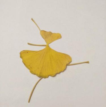 跳舞的小人树叶贴画