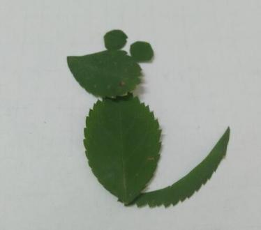 小老鼠树叶贴画制作方法
