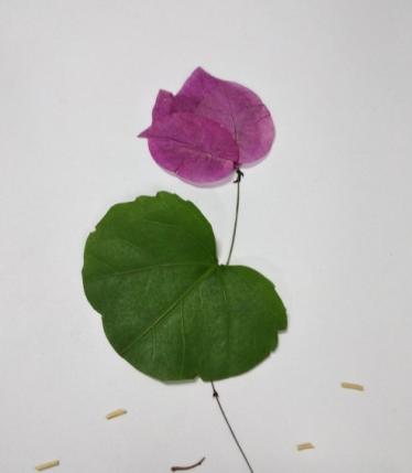 荷叶荷花树叶贴画的制作
