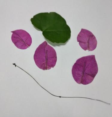 荷叶荷花树叶贴画的制作