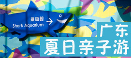 ���ʺ����ӵ�������κ�ȥ��