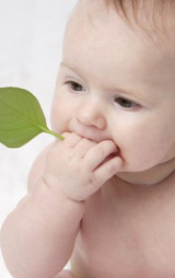 2012�����Ӥ�׶��䷽�̷����а�10ǿ