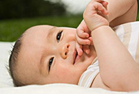 ������ԭװ�����̷۱�ָɽկ Ŧ��������������Ǹ