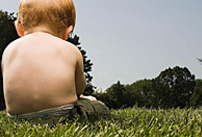 �������̷��гԳ���ɵ���� δ����⳥�������ֺ�