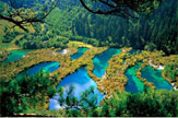 ͯ�������կ��