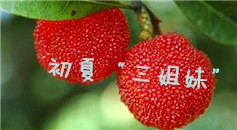 ����ˮ���������á�